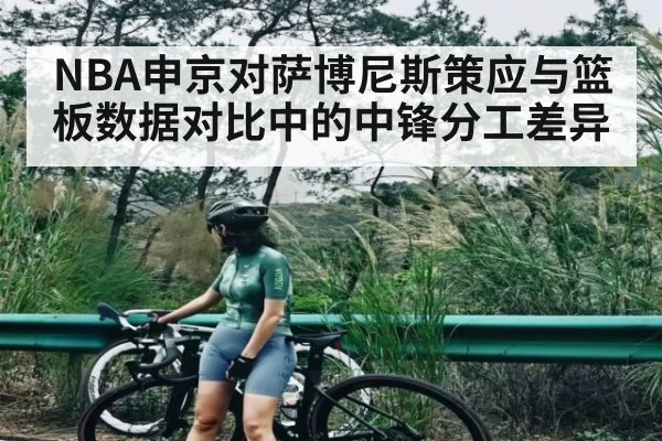 NBA申京对萨博尼斯策应与篮板数据对比中的中锋分工差异